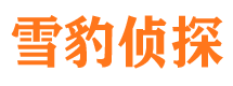 达县市侦探公司